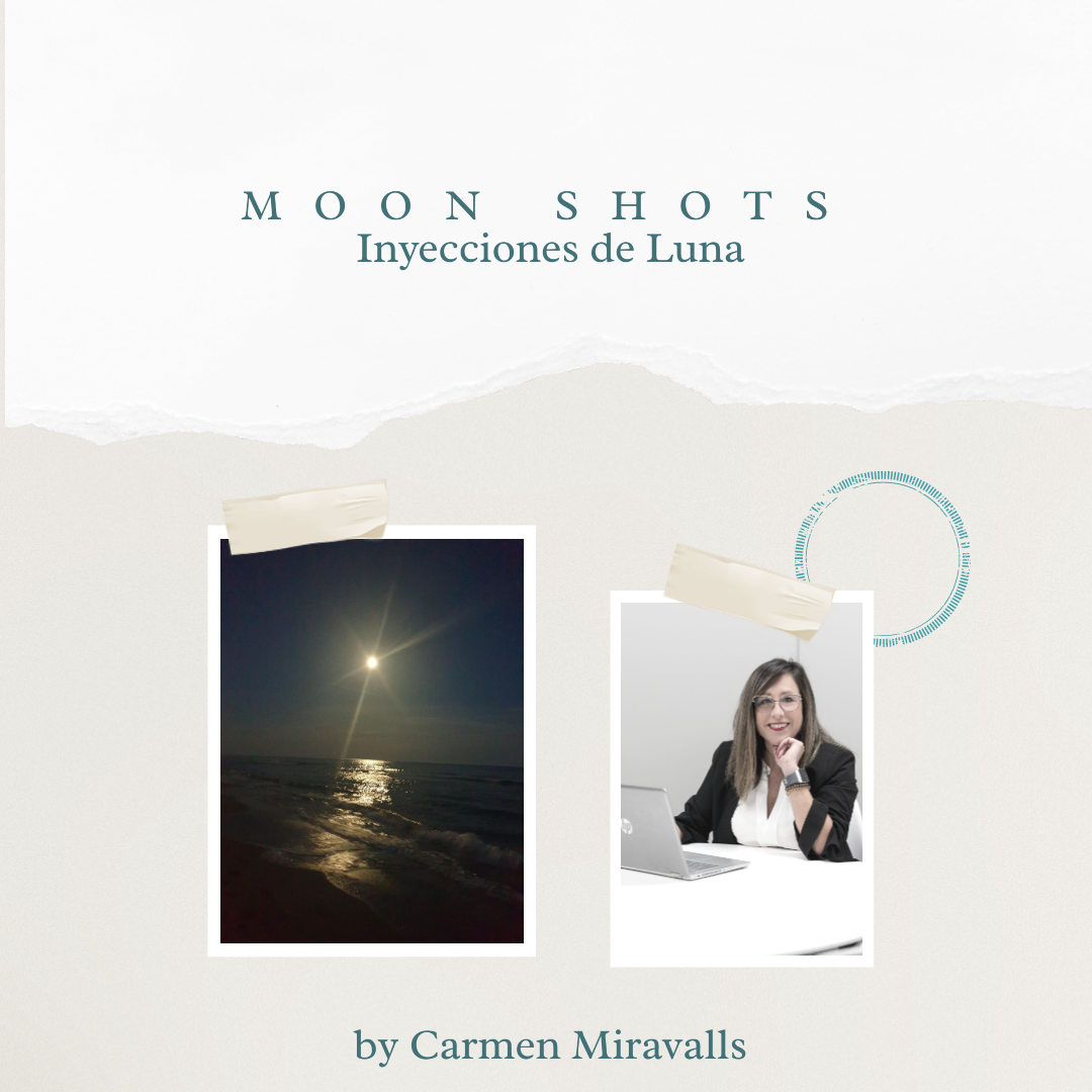 Lecciones de Marketing - Carmen Miravalls