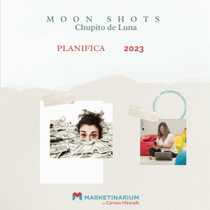 14 - Moon Shot - Plan de negocio